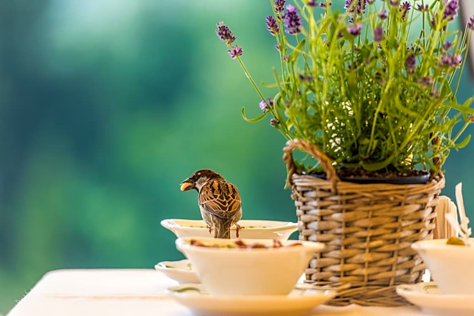 Hotel Le Grand Chalet Gstaad