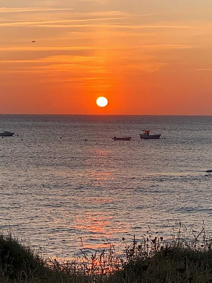 Demeure du Porzou, chambres d'hôtes de charme dans demeure d'exception, parc paysager, spa, massages, proche Paimpol, classé 4 épis