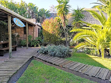 Saltycrax Backpackers
