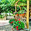 Masia Castellvi B&B