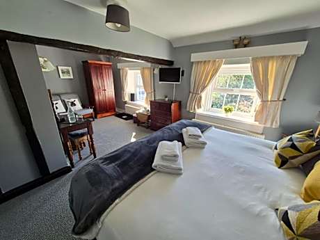 Deluxe Double or Twin Room with Mountain View