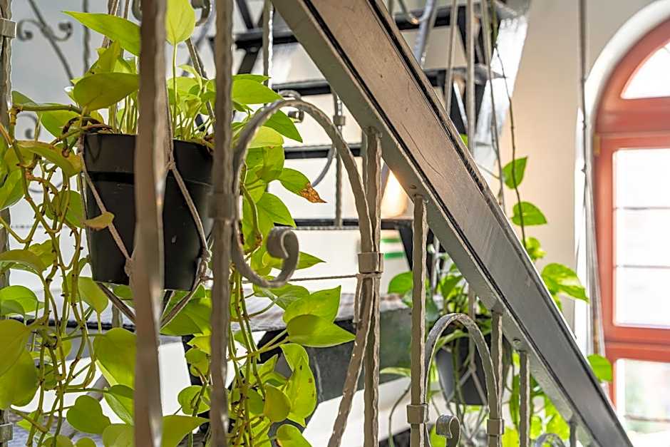 Akira Bed & Breakfast