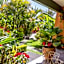 Casa de las Palmas Guest House