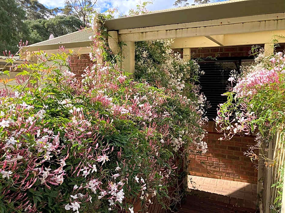 Edge Of The Forest Motel