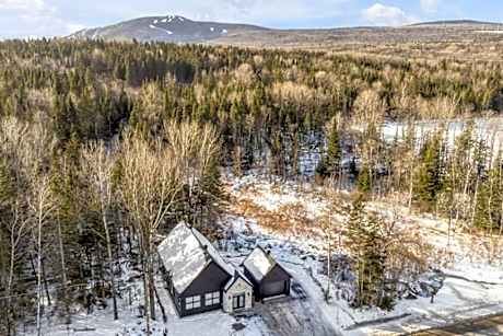 Initial / Solden / MSA