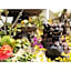 Bears Stay Kumejima Eef Beach - Vacation STAY 85672v