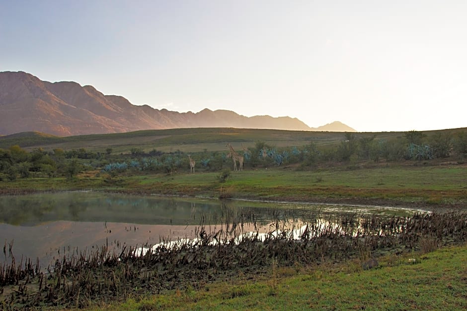 Swartberg Private Game Lodge