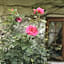 Grace Guest House