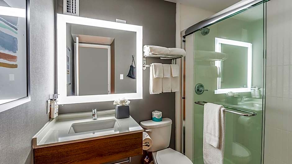 Staybridge Suites Dallas Market Ctr Love Field by IHG