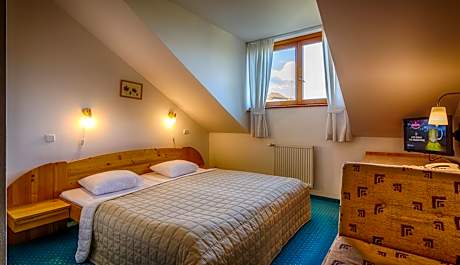 Double Room with Wellness Access