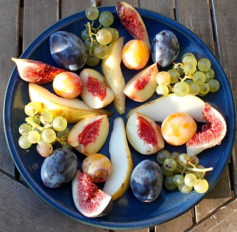 VALRELEY, chambres et table d'hôtes eco-friendly avec bain nordique au sud du massif du Jura