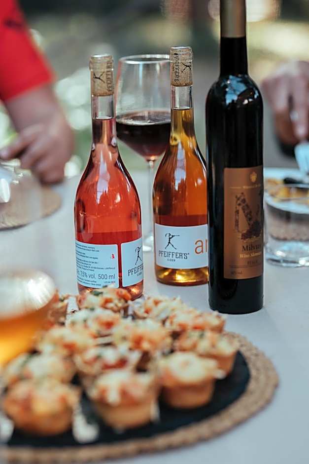 Rezydencja na Wzgórzu w zielonym sercu Łodzi przy Parku Krajobrazowym Ruda Wiilowa