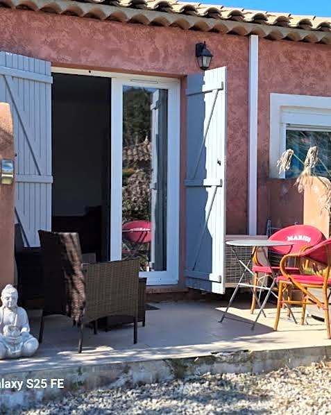Les Lézards 2 au Soleil Draguignan