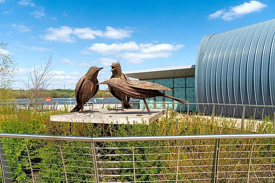 Chestnut Contractor Stays