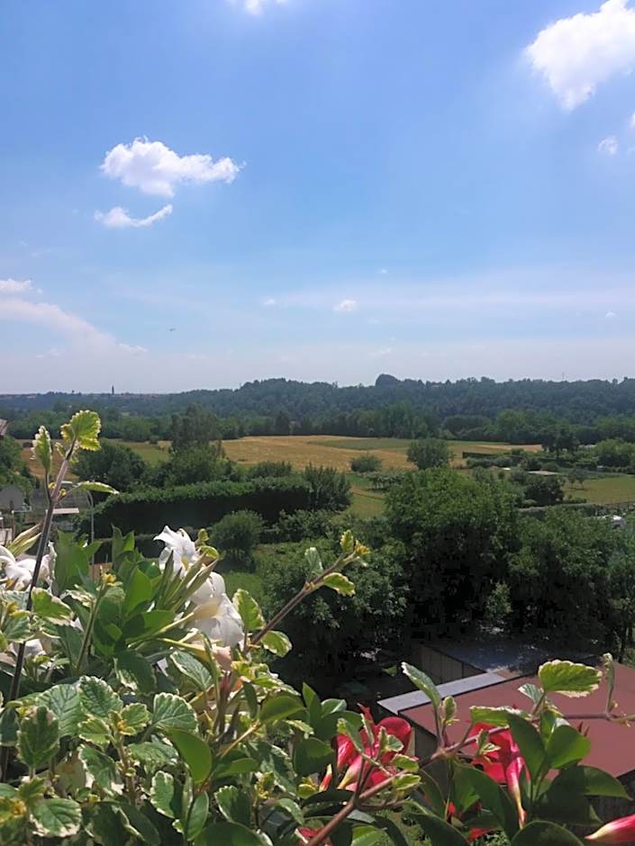Le vigne sull’Adda