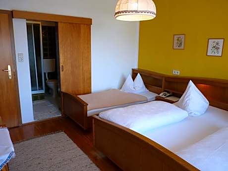 Double Room with Balcony and Lake View