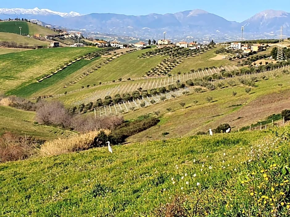 B&B Gli amici del tubarello