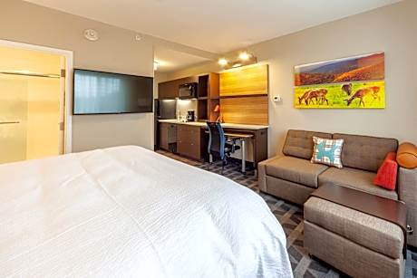 Studio, 1 King, Sofa bed