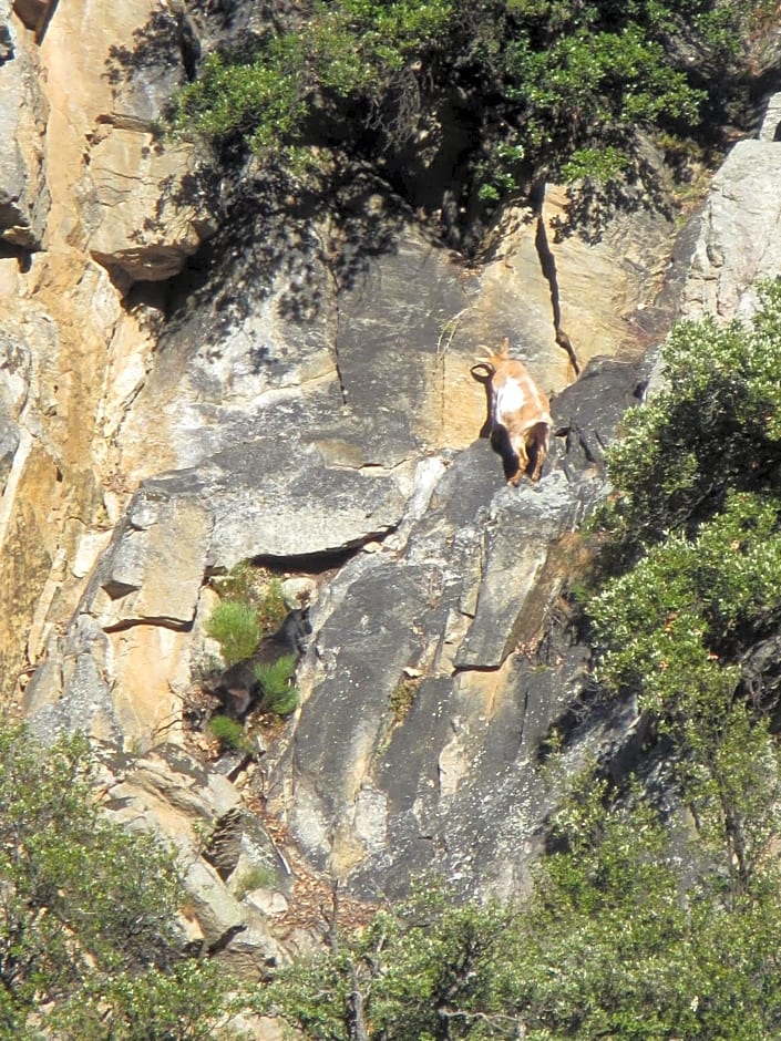 La Fontaine - Chambres d'Hôtes