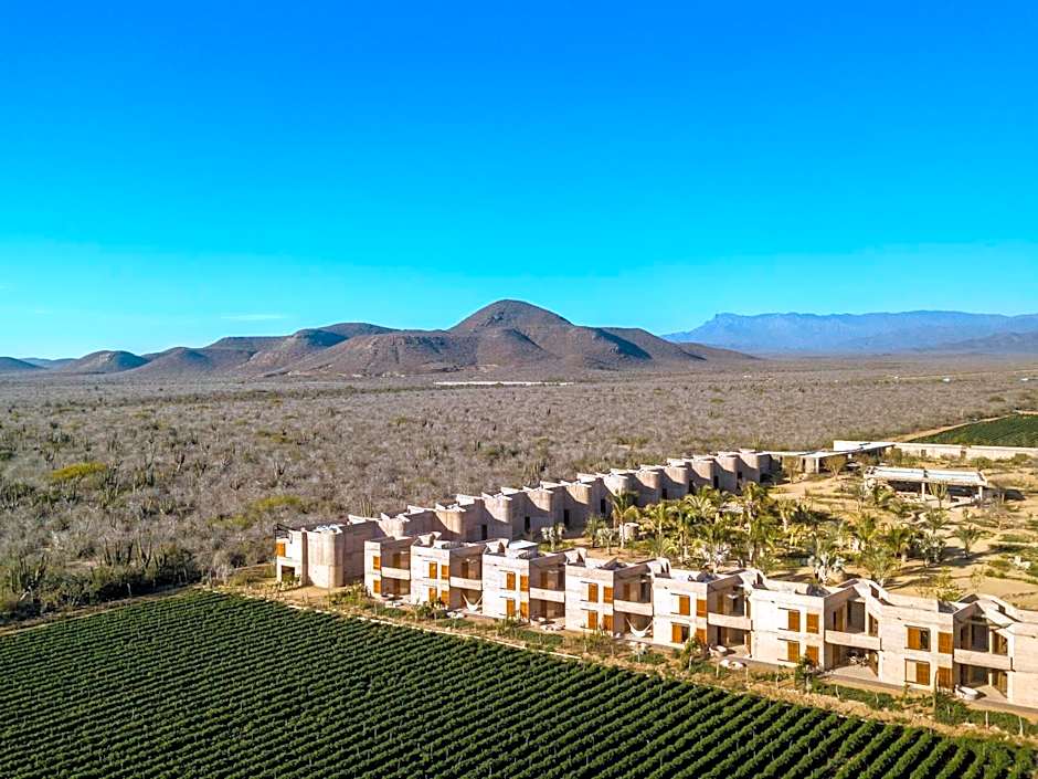 Paradero Todos Santos - Exclusive experiences included