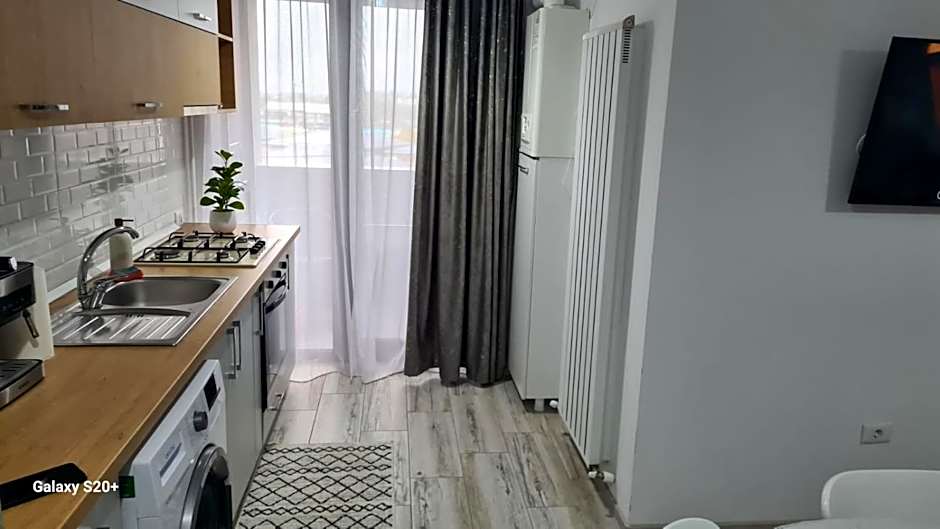 Apartament David