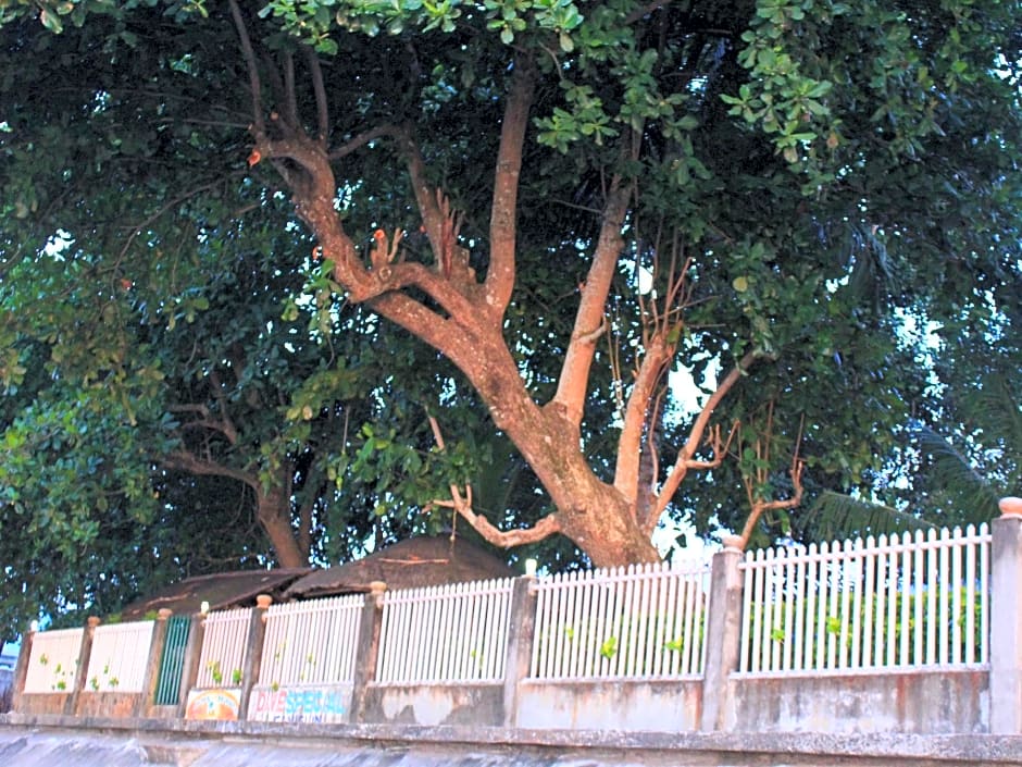 RedDoorz @ July's Haven Seaside Pension Camiguin