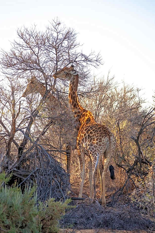 Inverdoorn Game Reserve Lodge