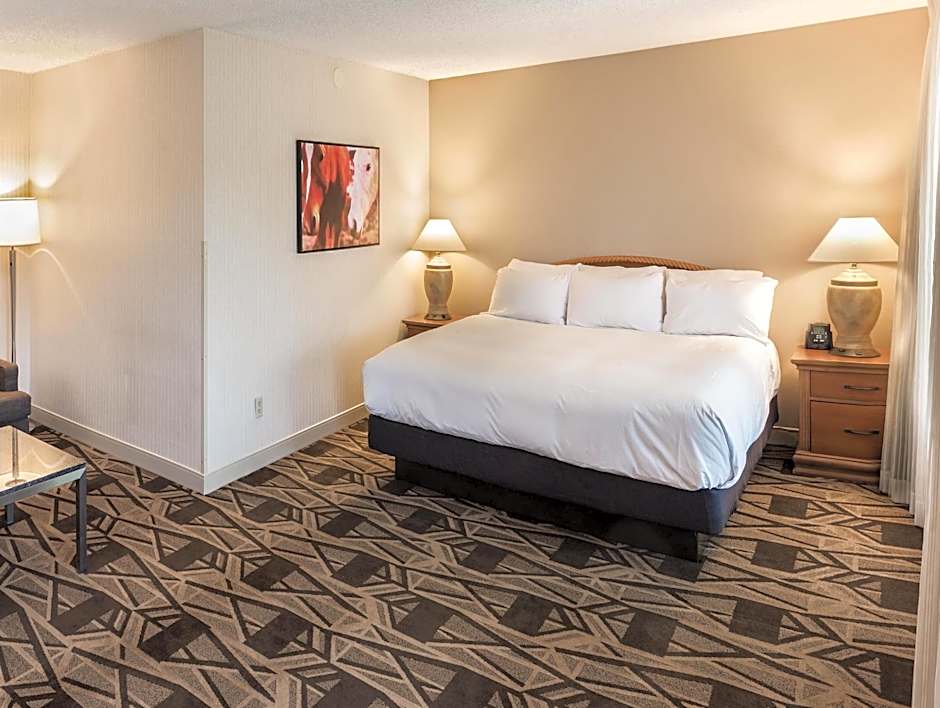 Photo 1 of 8 of 1 King Bed, Hearing Accessible, City View