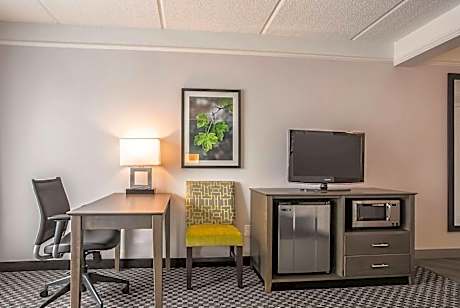 King Room with Roll-In Shower - Mobility/Hearing Accessible - Non-Smoking