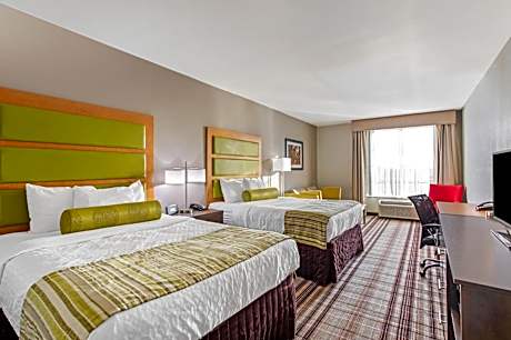 Executive King Room with Sofa Bed