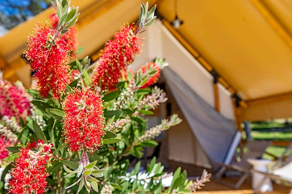 Camp Dole Zivogosce - Mobile home and Glamping tent