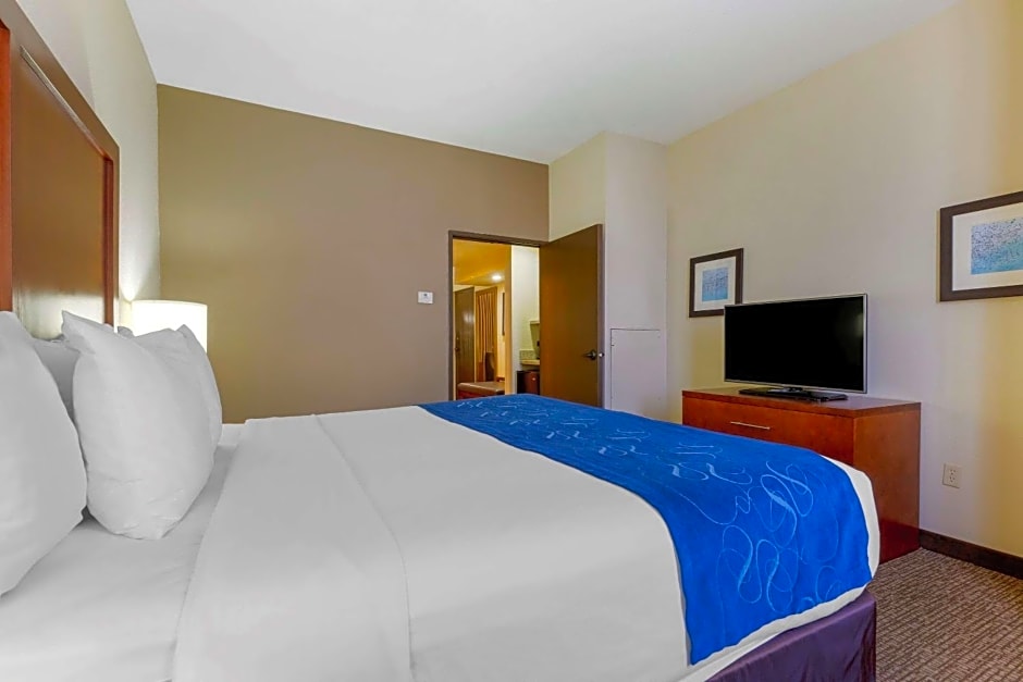 Comfort Suites Fredericksburg South