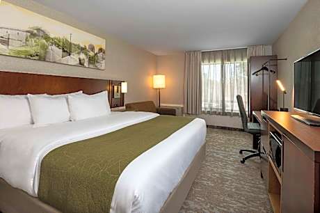 1 King Bed, Nonsmoking, Upgrade