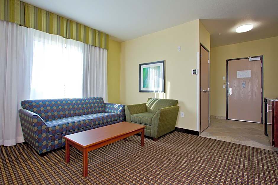 Holiday Inn Express & Suites Denver East-Peoria Street By IHG