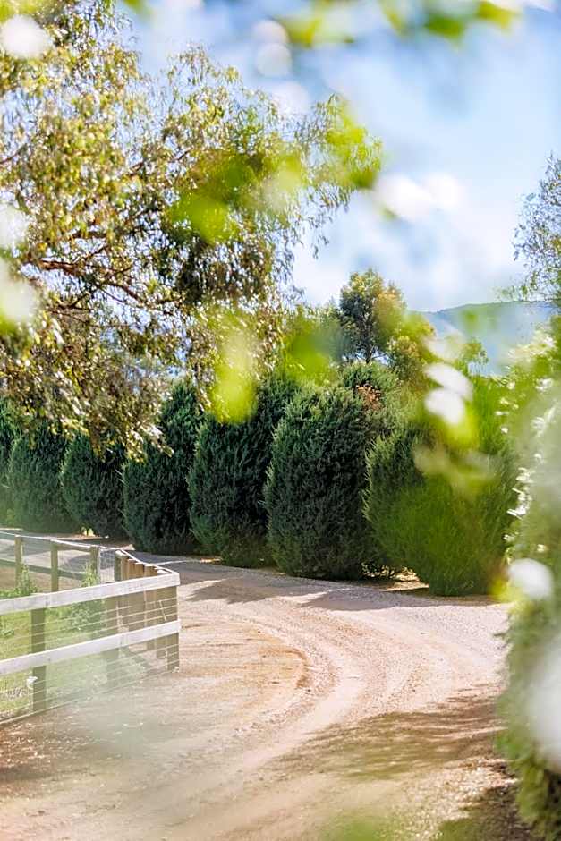 Dalblair Bed & Breakfast