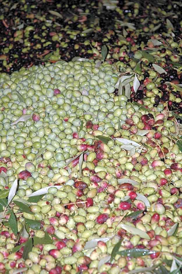 Residence Villa Tina