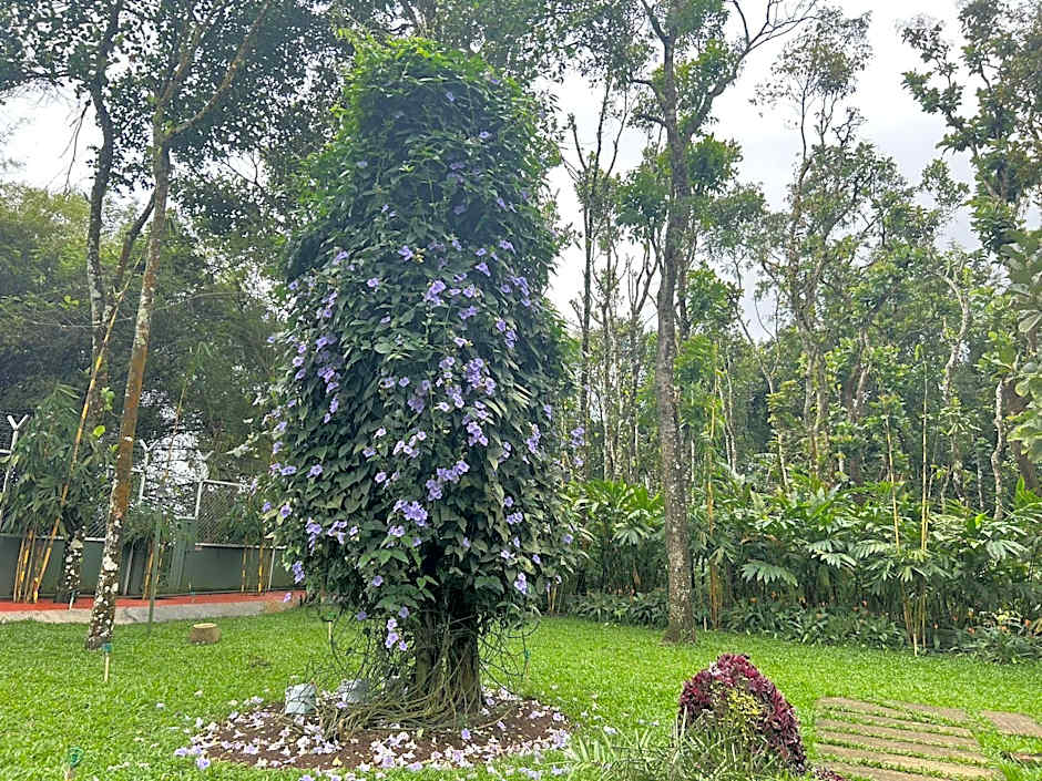 Beaumont Plantation Retreat