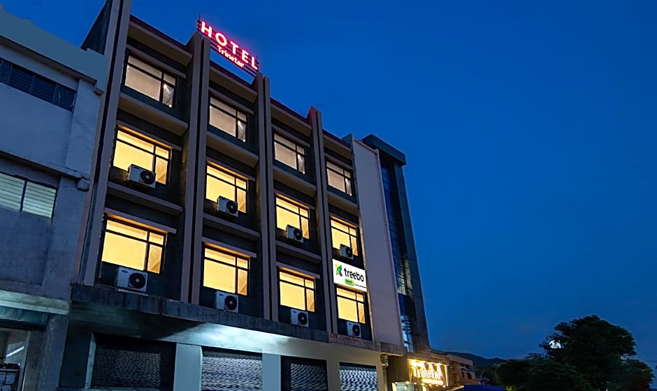 Treebo Trinetar International