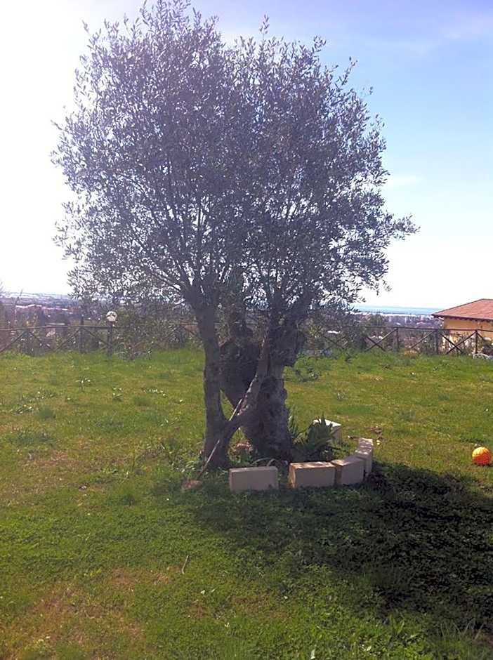 La dimora dei 5 sensi