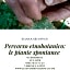 B&B Il Sentiero nel Bosco
