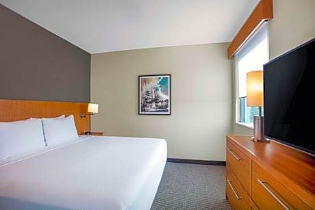 King Suite with Accessible Shower - Disability Access