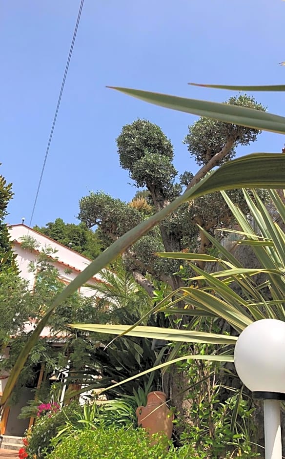 B&B Villa Anna Wunderbar