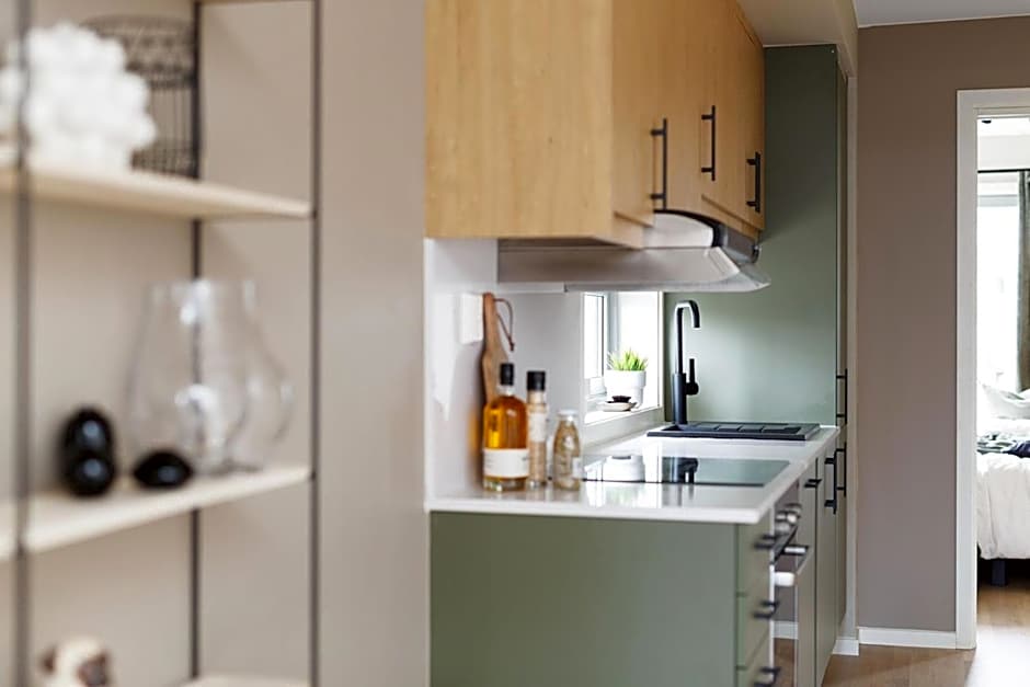 BJØRVIKA APARTMENTS, Teaterplassen, Oslo city center