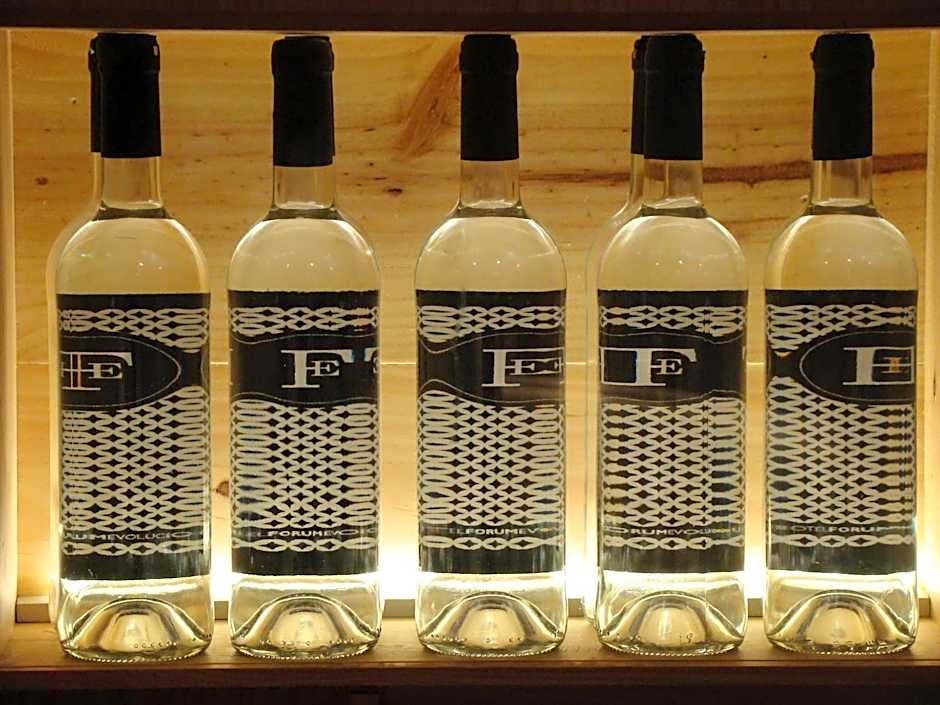 Hotel Forum Evolución