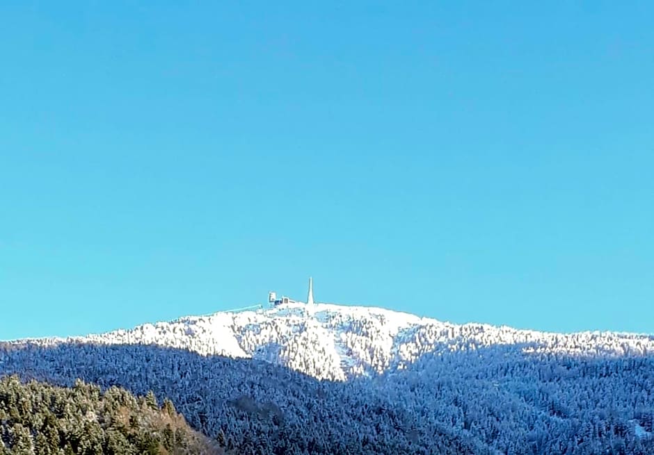 Landhaus Zangerl - Kobelerhof