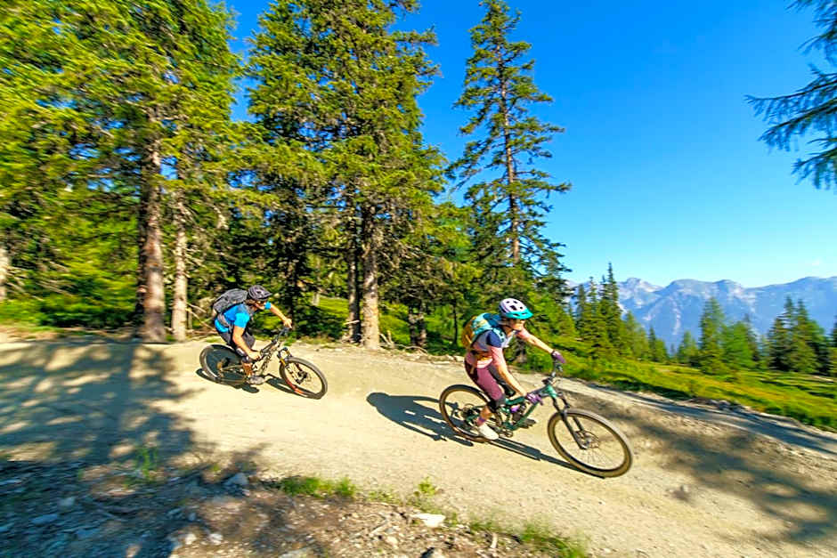 natur- und wellnesshotel Höflehner