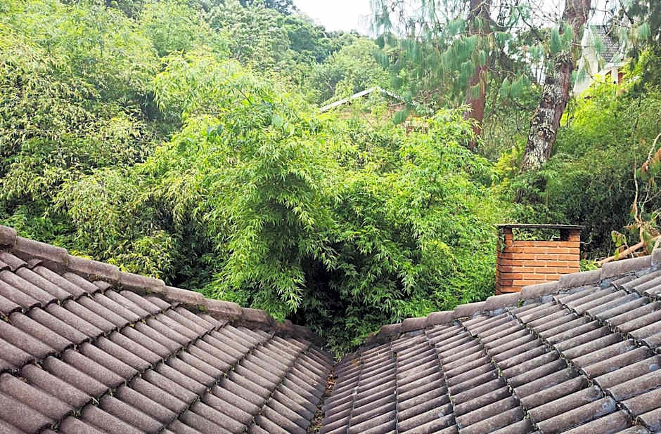 Pousada Casa dos Sonhos