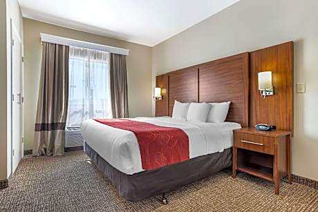 1 King Bed  Suite  No Smoking  Accessible Room