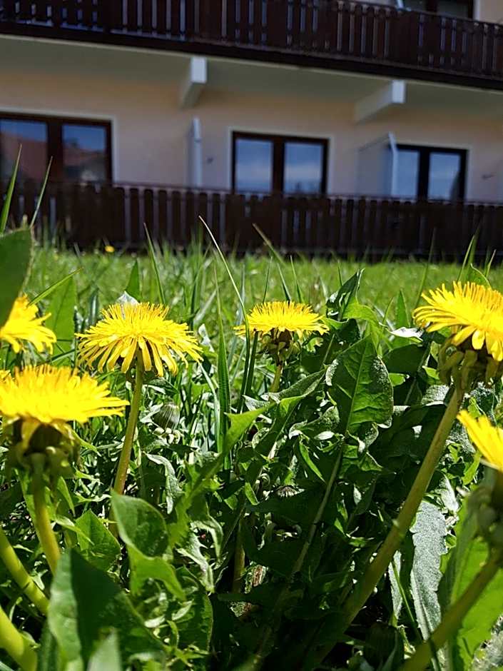 Kurhotel Anders