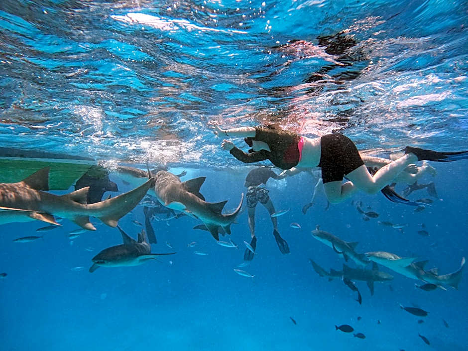 Pelican Beach Maafushi